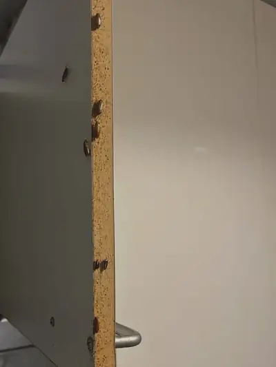 Cafards sur le chant d'une porte de placard de cuisine