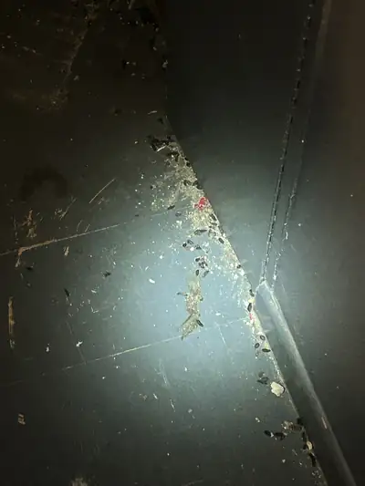 Crottes de rongeurs le long d'une paroi dans un placard