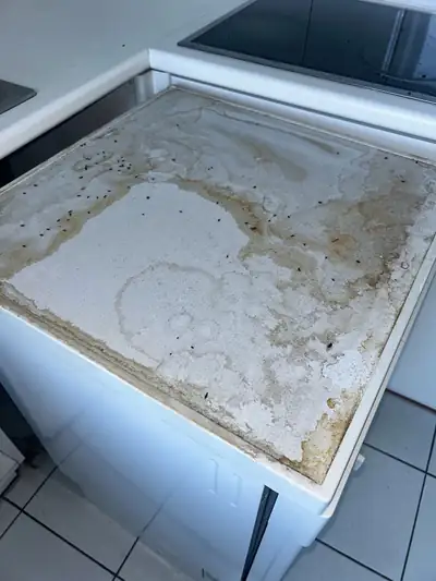 Crottes de souris sur le dessus d'un meuble de cuisine