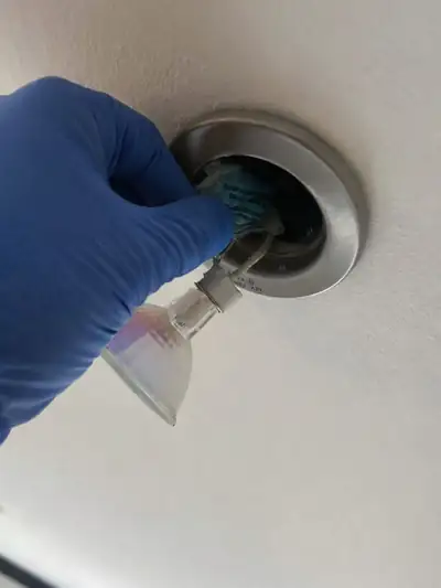 Technicien ganté plaçant un appât contre les souris dans un faux plafond, par l'ouverture d'un spot